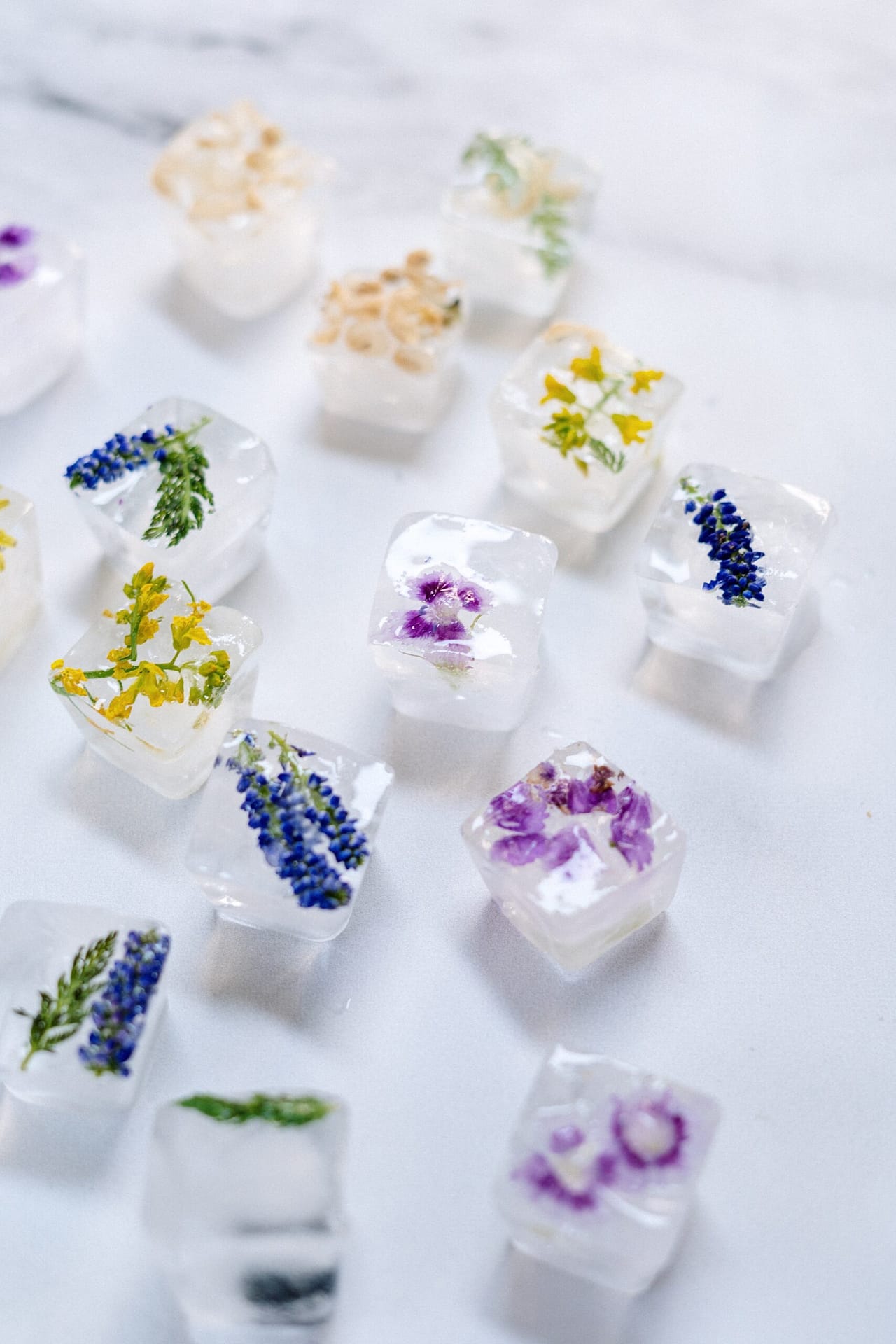 flowers in ice cubes